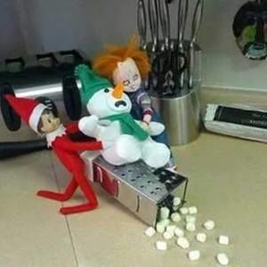 Meet your Posher, Judy